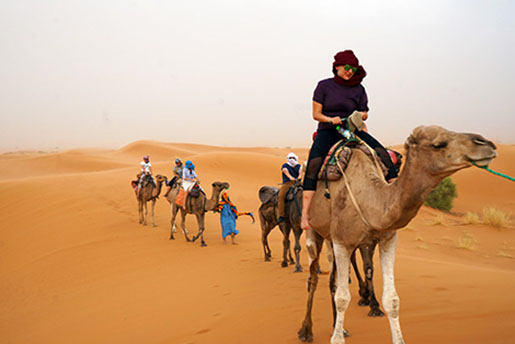 Camel trekking in morocco